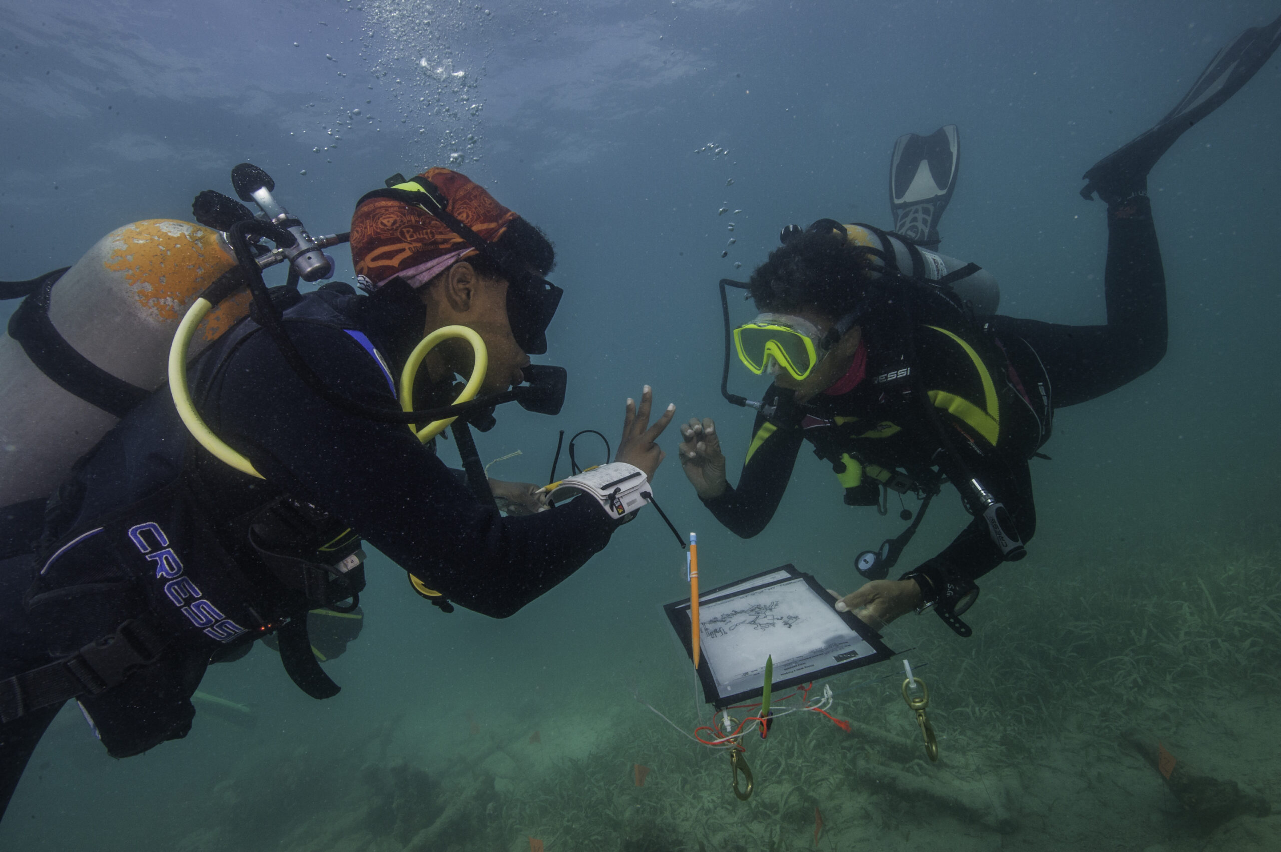 Underwater, two divers look at each other. They each hold up fingers to communicate with eachother and have a underwater writing board beneath them. Both wear wetsuits, oxygen tanks, diving fins and goggles. Below them the ocean floor is visible showing kelp and pieces of wood.