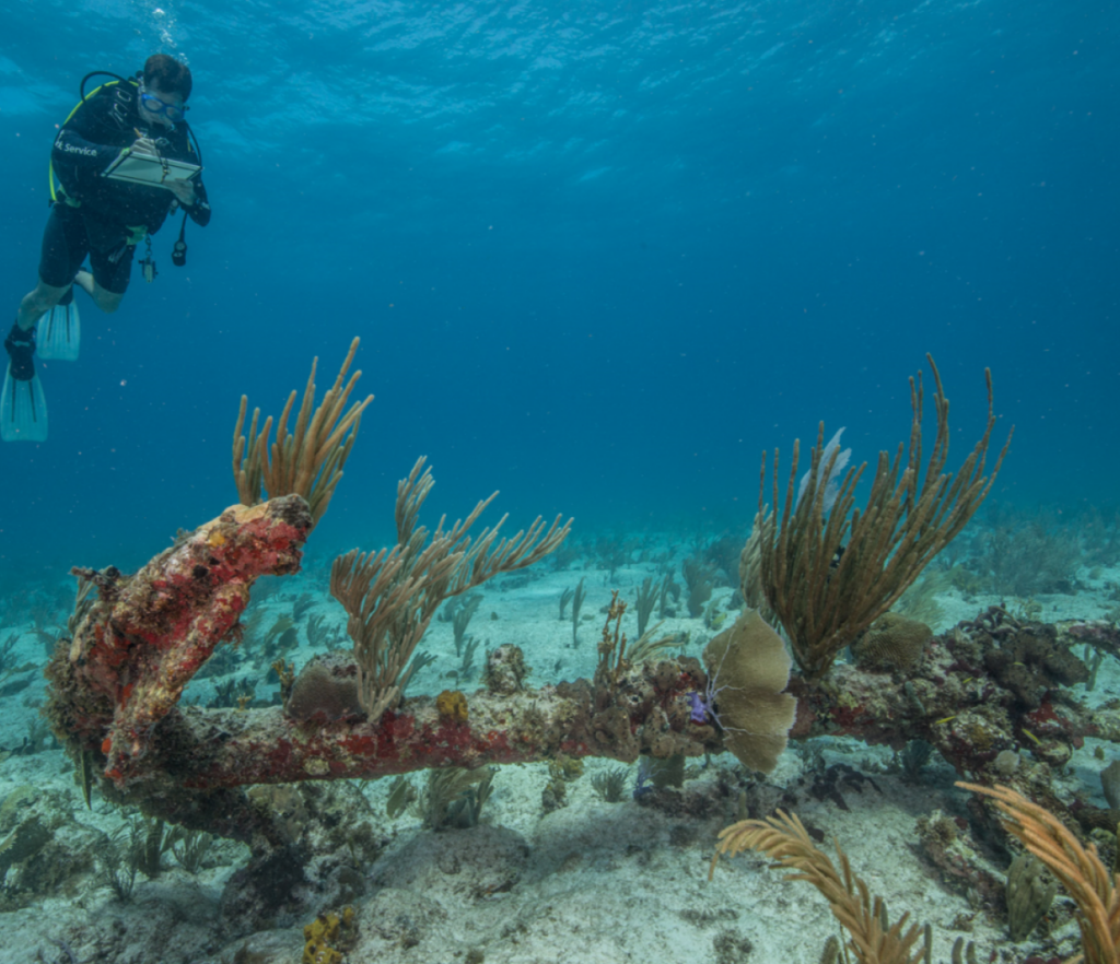 Man is underwater in full scuba gear including goggles and fins. He is writing in a board while looking down at a ship's anchor laying on the sea floor covered in coral plants. Behind, the ocean floor is visible and an expanse on clear blue ocean.