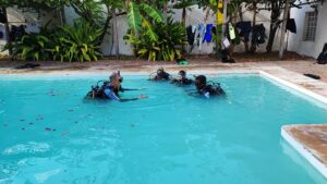 Group of divers learning with someone instructing in a pool.