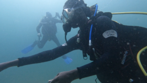 A diver in the water in the foreground reaching across the frame in full gear. They are wearing a black scuba suit with a white logo on their left bicep that says "FOCEA F1RST." Another diver is in the background swimming. They are barely visible through the haze, but wear a dark colored scuba suit with blue fins.