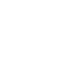 Slave Wrecks Project