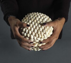 Two hands wrap about a basket with a lid. The basket is made entirely of cowrie shells. The hands have black nail polish, and the person wears a black long-sleeved shirt. Only their arms and torso are visible. Beneath them is a gray background.