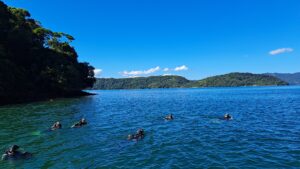 Six people are visible swimming in the center of the photo, slightly dispersed. They are all dressed in goggles and oxygen tanks. In the background several hills covered in trees are visible. Above the hills, a blue sky can be seen