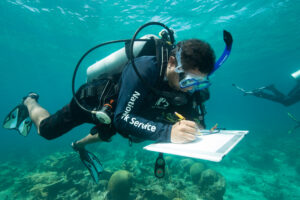 Diver underwater writing on a clipboard.