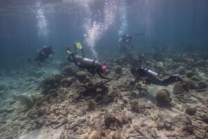 Group of divers underwater investigating anchors and artifacts on sea floor.