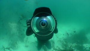 Driver holds underwater camera up in the middle of the frame. Behind the driver murky green water and the seafloor are visible. Kelp swirls in the water