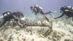 Four divers underwater measuring anchor together.