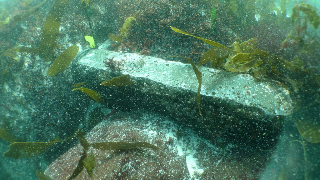 a long rectangular stone underwater, with kelp and coral surrounding it.