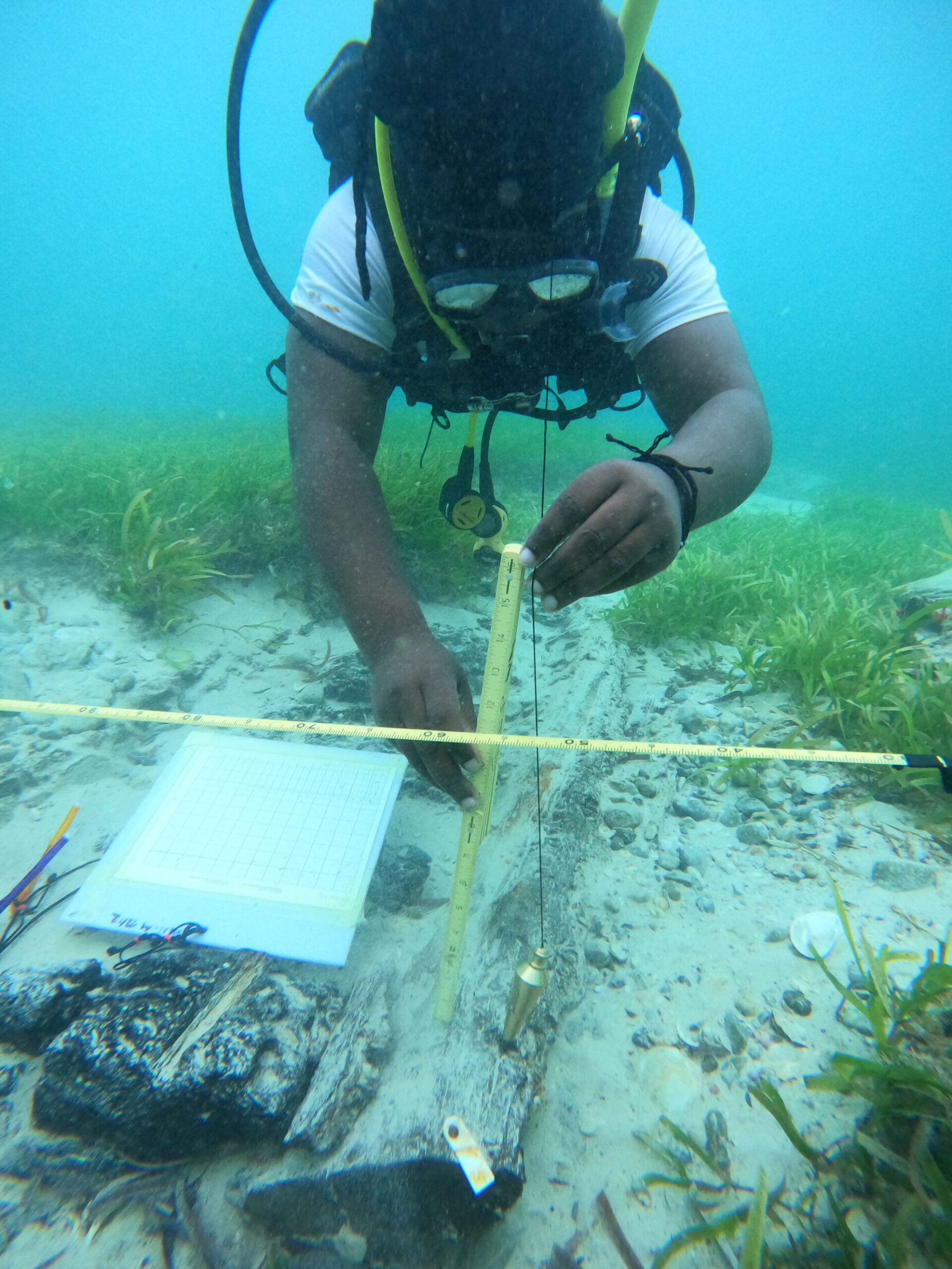 Diver underwater using a measuring tape on a piece of wood on the ocean floor. He holds a measuring tape in his hand, and there is a clipboard on the ocean floor adjacent to the wood. He has dark skin and dreads, and is wearing a white short sleeved top.