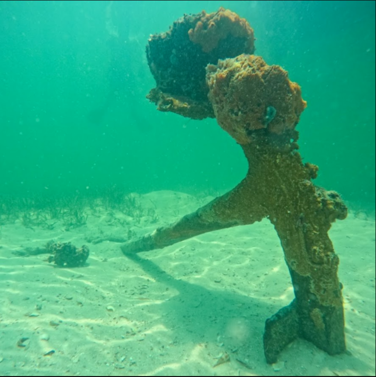 Anchor underwater covered in coral and rust on the ocean floor. The water looks greenish blue, and the ocean floor is sandy, with some plant life on the floor.