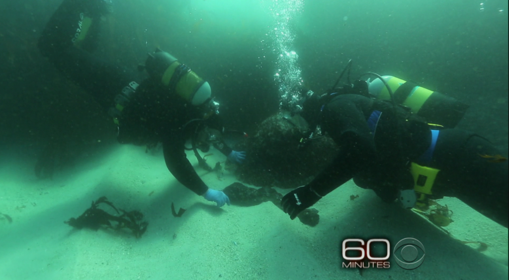 Two divers underwater investigating something between them, with the "60 Minutes" and CBS television network logo at the corner of the frame. The divers faces aren't visible, and the water is murky and dark. The seafloor is sandy and there is kelp on the seafloor.