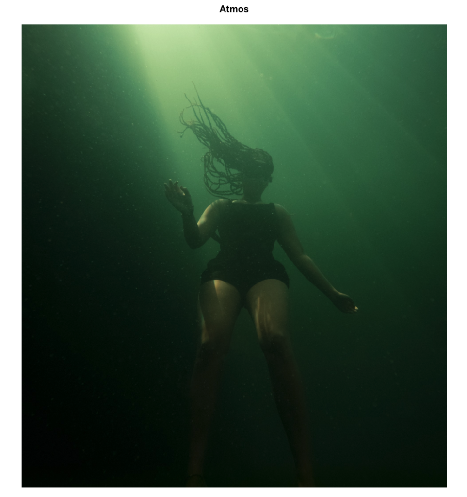 水中のアフリカ系アメリカ人女性の写真。水は濁って濃い緑色で、光の筋が女性の上を照らしている。彼女は暗い色の水着を着ている。彼女の長いドレッドヘアが水面に浮かんでいる。