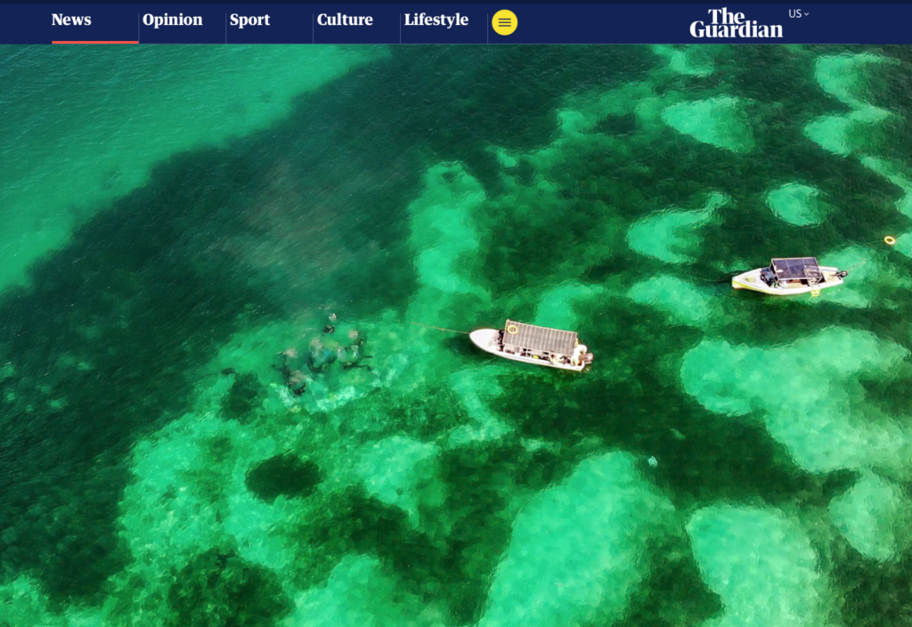 The Guardian のニュース記事のスクリーンショット。表紙の画像には、海に浮かぶ 2 隻の船が空から写っています。海はエメラルド グリーンです。